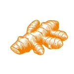 Curcuma
