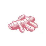 Curcuma