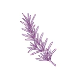 Romarin