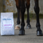 Mila Moka Ekla'Derm : qualité des pieds et des crins