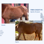 avant après fibra digest 0% (2)