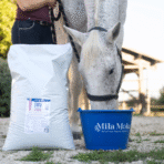 Fibra Soupe | Aliment pour chevaux âgés à problèmes dentaires – Image 2