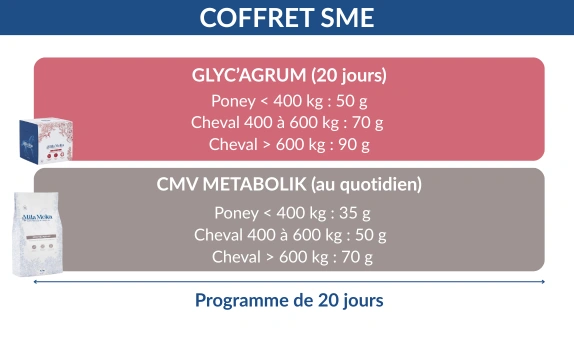 Mode_emploi_sme