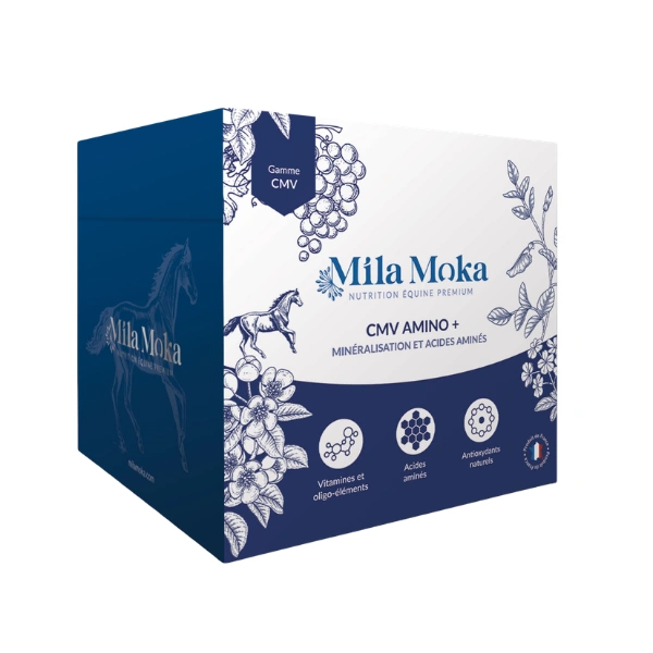 cmv amino