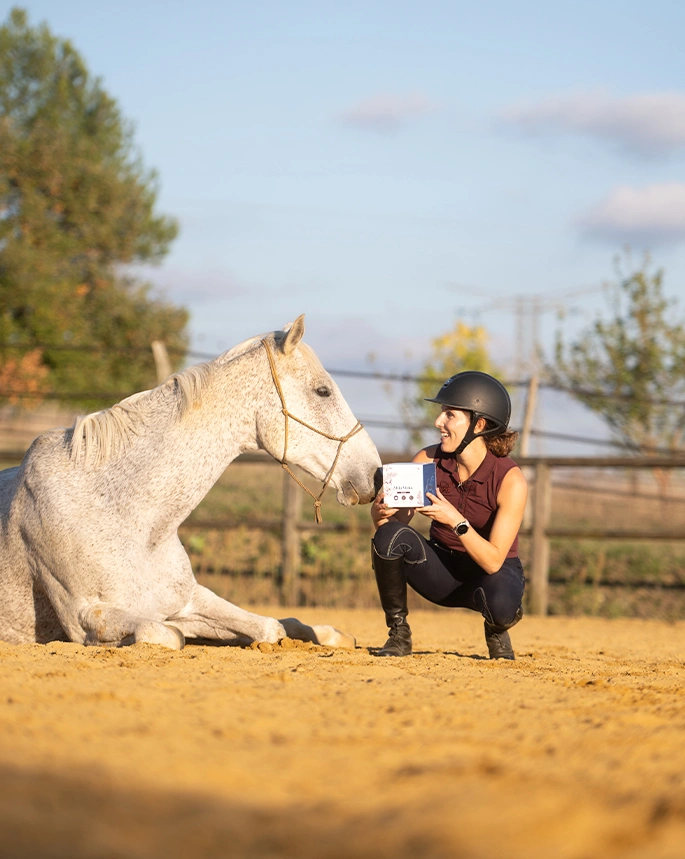 Aliments pour chevaux et poneys