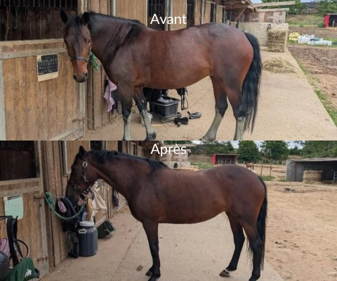 Avant / après GLYC'AGRUM