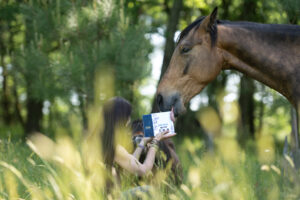 Stress thermique cheval